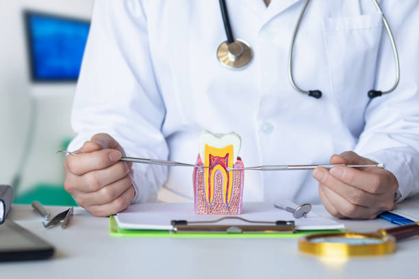 Best Emergency Wisdom Teeth Removal in Union City, MI